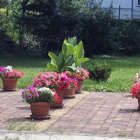 Buda Апартаменты Будапешт